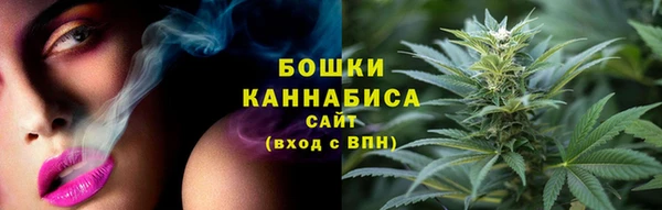 стафф Бородино