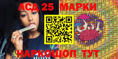 apvp Бийск