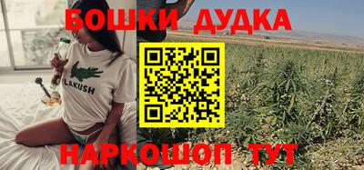 apvp Бийск
