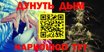 apvp Бийск