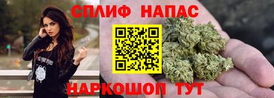 apvp Бийск