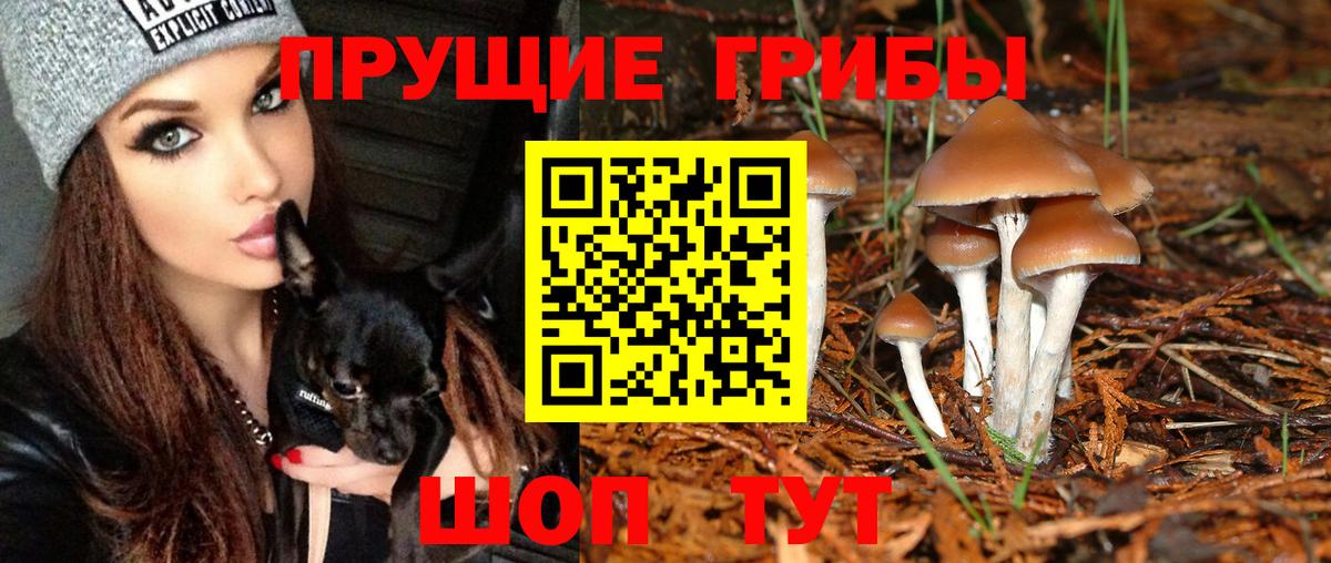 Галлюциногенные грибы Psilocybine cubensis  Галлюциногенные грибы Psilocybine cubensis  Вход с VPN  Магнитогорск 